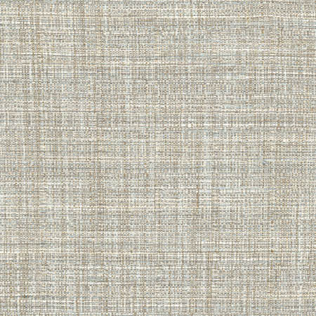 Main Chance Rain by Carole Designer Fabric Abode 100% Polyester India 30,000 Wyzenbeek Double Rubs None 56" - Swanky Fabrics -