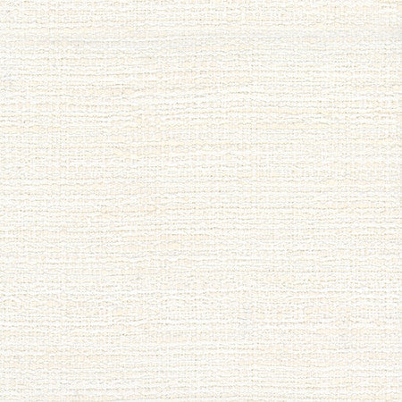 No Problem Pearl by Carole Designer Fabric Alliance 81% Polyester, 19% Cotton Turkey None 60"" - Swanky Fabrics -