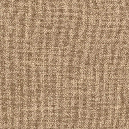 Enthusiasm Toffee by Carole Designer Fabric Sunbaked 100% Polyester INDIA None 54" - Swanky Fabrics -