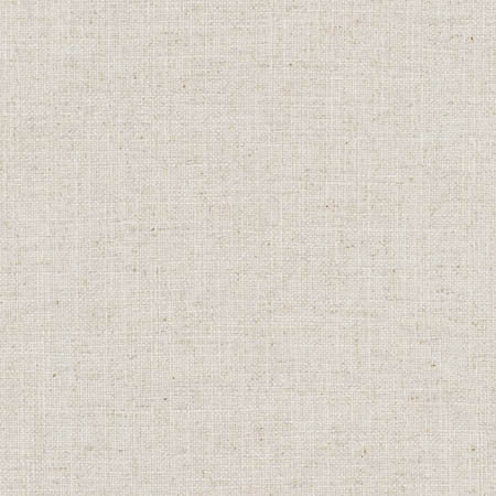 Sheriff Steel by Carole Designer Fabric Arlyn,Dove Wing 36% Cotton, 30% Polyester, 17% Viscose, 17% Linen INDIA None 54" - Swanky Fabrics -