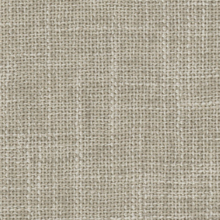 Stanbridge Sweatshirt by Carole Designer Fabric Enterprise 100% Polyester India None 54" - Swanky Fabrics -