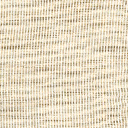 Secret Service Parchment by Carole Designer Fabric Toasted Almond 100% Polyester INDIA N/A None 54" - Swanky Fabrics -