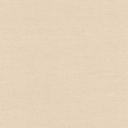 Freshman Sand by Carole Designer Fabric Toasted Almond 100% Polyester INDIA 100,000 Wyzenbeek Double Rubs None 54" - Swanky Fabrics -