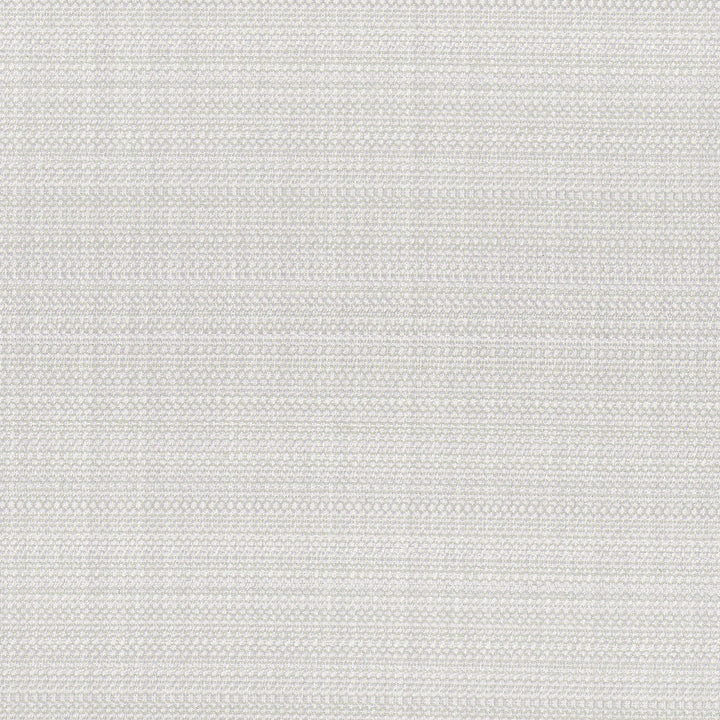 Glimmer Blackout Gray by Carole Designer Fabric For The Window 80% Polyester, 20% Cotton-3 Pass Fr Acrylic Backing Blackout India N/A Horizontal: 0 and Vertical: 0 54 - Swanky Fabrics -