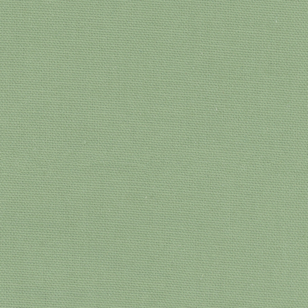 Daydreamer Seafoam by Carole Designer Fabric Daydreaming 100% Cotton- Soil Release USA Passes 30,000 Double Rubs Wyzenbeek Horizontal: 0 and Vertical: 0 54 - Swanky Fabrics -