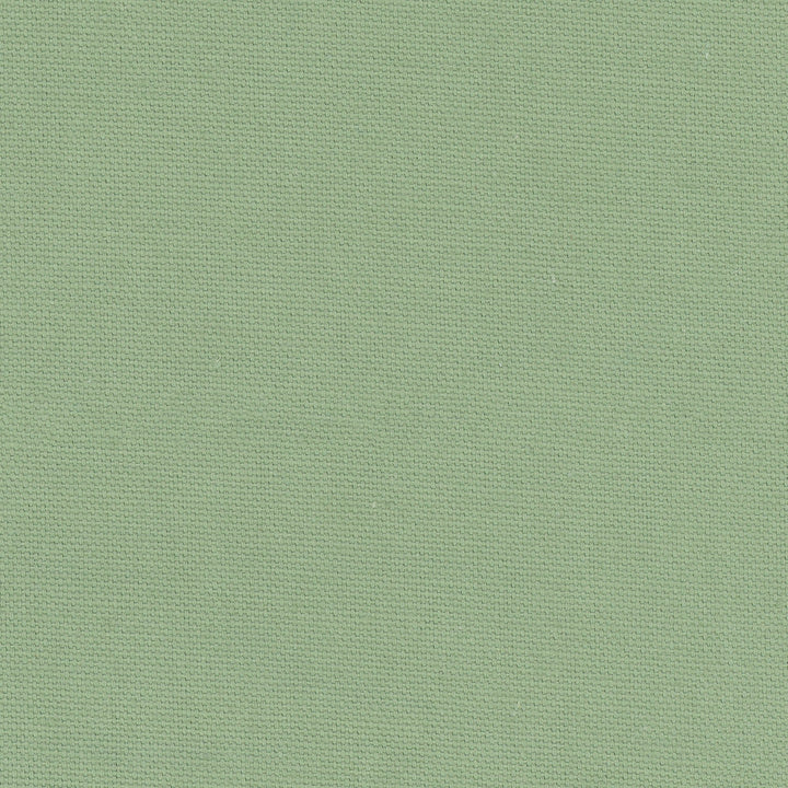 Daydreamer Seafoam by Carole Designer Fabric Daydreaming 100% Cotton- Soil Release USA Passes 30,000 Double Rubs Wyzenbeek Horizontal: 0 and Vertical: 0 54 - Swanky Fabrics -