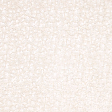 Sleeping Bear Ivory by Carole Designer Fabric Jungle Safari 100% Polyester China Passes 50,000 Double Rubs Wyzenbeek 5 1/2" V, 5" H 55" - Swanky Fabrics -
