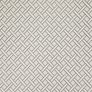 Carole Fabric But Who Platinum