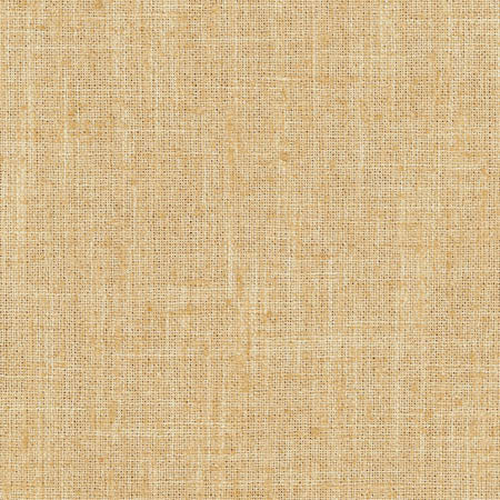 Consultant Sunbaked by Carole Designer Fabric Sunbaked 100% Polyester INDIA N/A None 54" - Swanky Fabrics -