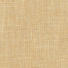 Carole Fabric Consultant Sunbaked