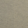Carole Fabric Tip The Scales Fern