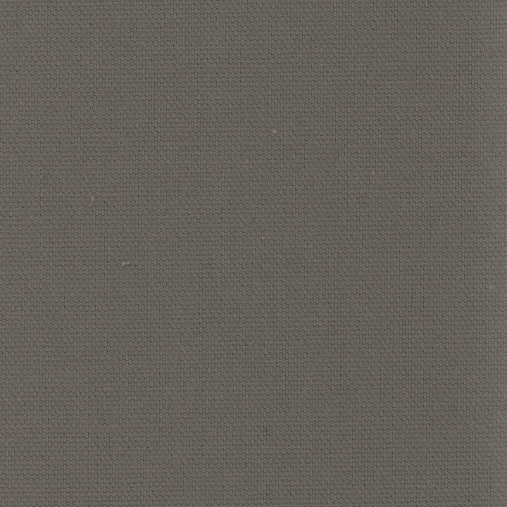 Daydreamer Gunmetal by Carole Designer Fabric Daydreaming 100% Cotton- Soil Release USA Passes 30,000 Double Rubs Wyzenbeek Horizontal: 0 and Vertical: 0 54 - Swanky Fabrics -
