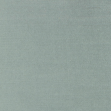 Regal Touch Lichen by Carole Designer Fabric Touch Of Luxury 100% Polyester Turkey 15,000 Wyzenbeek Double Rubs </p><p>Repeat: None 55" - Swanky Fabrics -