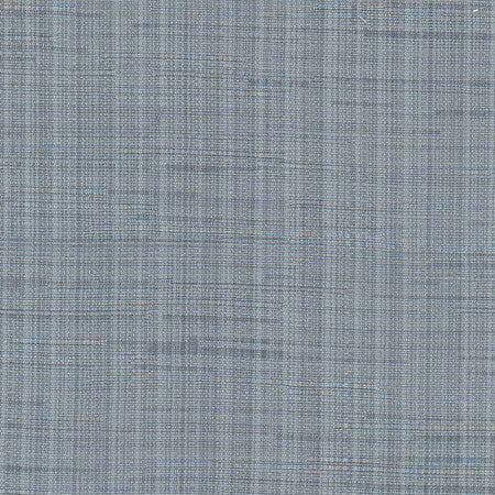High Dive Denim by Carole Designer Fabric Excursion 52% Polyester, 48% Cotton India 25,000 Wyzenbeek Double Rubs None 54" - Swanky Fabrics -