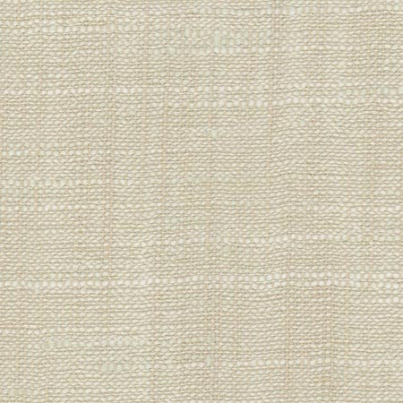 Take Care Chablis by Carole Designer Fabric COME HOME 100% Polyester India N/A Horizontal: 0" and Vertical: 0" 54" - Swanky Fabrics -