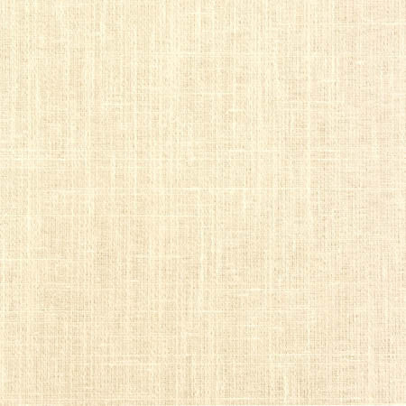 Duty Calls Froth by Carole Designer Fabric Toasted Almond 77% Polyester, 14% Cotton, 9% Linen INDIA N/A None 54" - Swanky Fabrics -