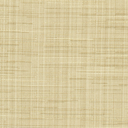 High Dive Wheat by Carole Designer Fabric Excursion 52% Polyester, 48% Cotton India 25,000 Wyzenbeek Double Rubs None 54" - Swanky Fabrics -
