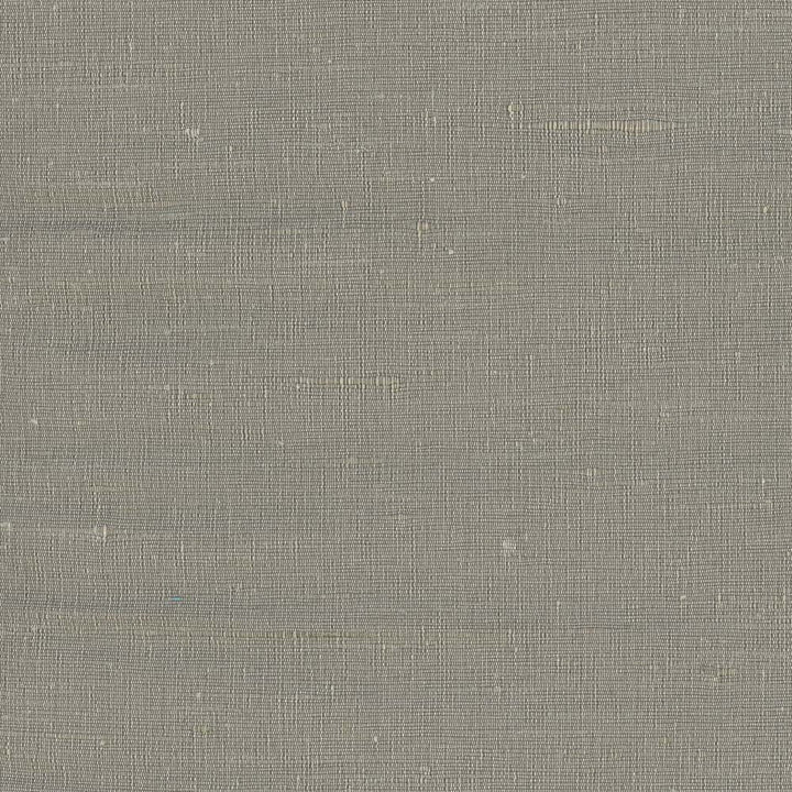 Lydia Cement by Carole Designer Fabric Lydia Ii 100% Polyester India N/A Horizontal: 0 and Vertical: 0 54 - Swanky Fabrics -