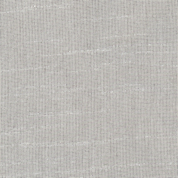 Fleeting Flint by Carole Designer Fabric Royale 100% Polyester India Passes 50,000 Double Rubs Wyzenbeek Horizontal: 0 and Vertical: 0 54 - Swanky Fabrics -