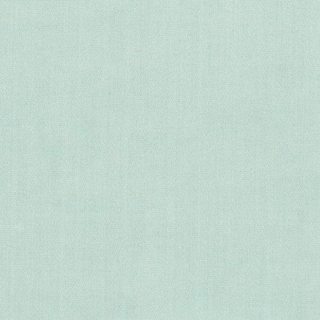 Tempt Robin's Egg by Carole Designer Fabric Royale 100% IFR Polyester India Passes 45,000 Double Rubs Wyzenbeek None 54" - Swanky Fabrics -