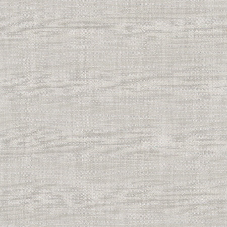 Athlete Metal by Carole Designer Fabric Pewter 60% Cotton, 40% Polyester India Passes 50,000 Double Rubs Wyzenbeek </p><p>Repeat: None 55" - Swanky Fabrics -