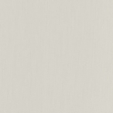 Comfort Cement by Carole Designer Fabric Daydreaming 100% Cotton India Passes 21,000 Double Rubs Wyzenbeek None 54" - Swanky Fabrics -