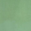 Carole Fabric Natural Form Sage