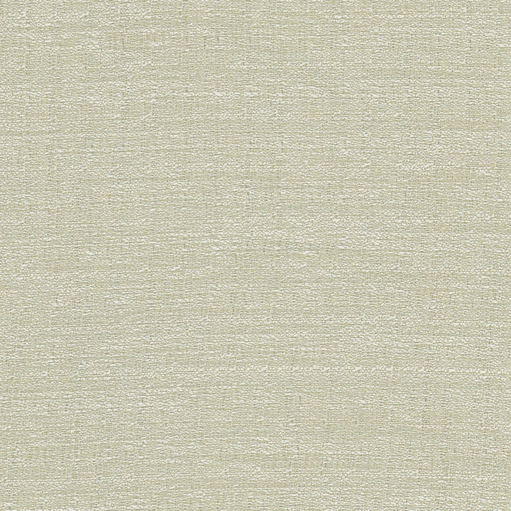 Trampoline Eucalyptus by Carole Designer Fabric For The Window 100% Polyester Turkey N/A Horizontal: 0 and Vertical: 0 60 - Swanky Fabrics -