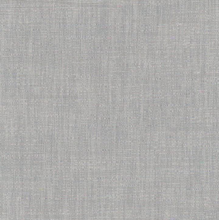 Athlete Concrete by Carole Designer Fabric Pewter 60% Cotton, 40% Polyester India Passes 50,000 Double Rubs Wyzenbeek Horizontal: 0 and Vertical: 0 55 - Swanky Fabrics -
