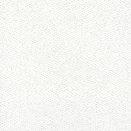 Aiden White by Carole Designer Fabric Aiden Gallery,Opal,Subtle Hints 100% Polyester INDIA PASSES 30,000 DOUBLE RUBS WYZENBEEK </p><p>Repeat: None 56" - Swanky Fabrics -
