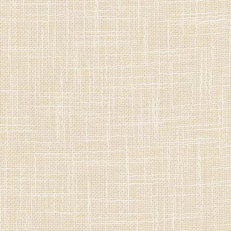 As Always Parchment by Carole Designer Fabric See It Through 100% Polyester Turkey None 55.5" - Swanky Fabrics -