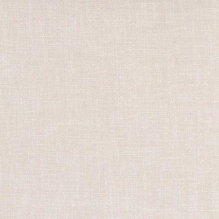 Bit Early Gleam by Carole Designer Fabric Power Play 100% Polyester 50,000 Wyzenbeek Double Rubs None 54" - Swanky Fabrics -