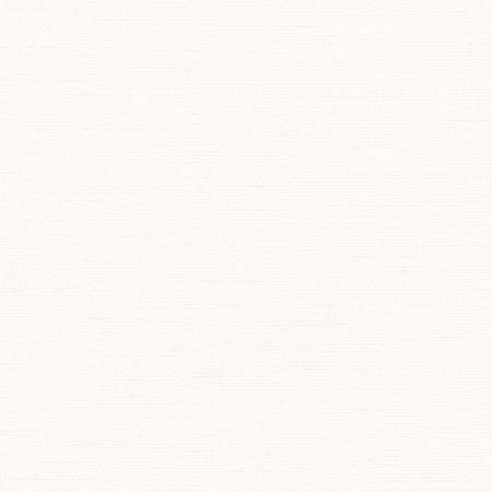 Liberty White by Carole Designer Fabric Liberty,Liberty II 100% Polyester India Passes 50,000 Double Rubs Wyzenbeek None 54" - Swanky Fabrics -