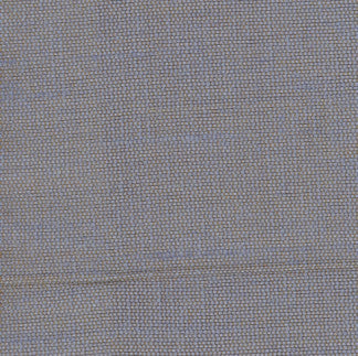 Succulent Celestial by Carole Designer Fabric Succulent II 100% Polyester India N/A Horizontal: 0" and Vertical: 0" 54" - Swanky Fabrics -