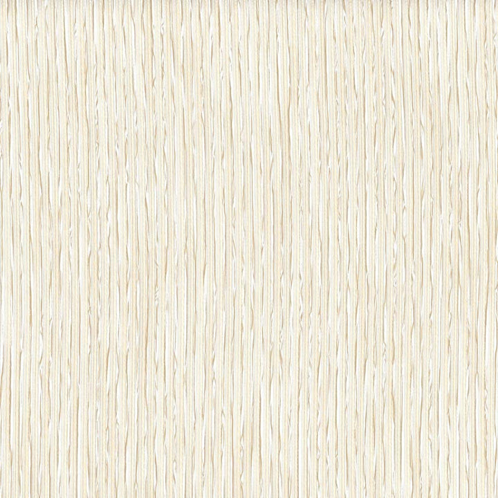Daily Basis Toast by Carole Designer Fabric Sheer Structure 100% Polyester Turkey N/A Horizontal: 0 and Vertical: 0 118 - Swanky Fabrics -