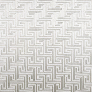 Carole Fabric Find Your Way Platinum