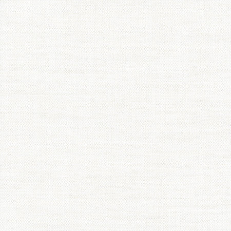 Hand Holder White by Carole Designer Fabric Alliance 100% Polyester India N/A None 54"" - Swanky Fabrics -
