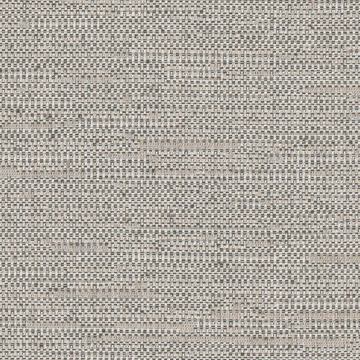 Cliff Top Urban Grey by Carole Designer Fabric Excursion 66% Polyester, 34% Cotton India 36,000 Wyzenbeek Double Rubs Horizontal: 0 and Vertical: 0 56 - Swanky Fabrics -
