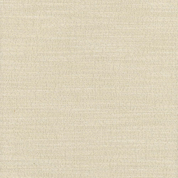 Say Yes Glint by Carole Designer Fabric Winner'S Circle 78% Polyester, 22% Viscose India N/A Horizontal: 0 and Vertical: 0 55 - Swanky Fabrics -