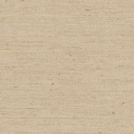 Aiden Natural by Carole Designer Fabric Aiden Gallery,Opal,Subtle Hints 100% Polyester INDIA PASSES 30,000 DOUBLE RUBS WYZENBEEK Horizontal: None and Vertical: None 56" - Swanky Fabrics -