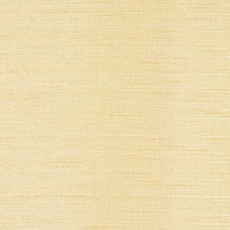 Banksville Manila by Carole Designer Fabric Power Play 100% Polyester 24,000 Wyzenbeek Double Rubs None 54" - Swanky Fabrics -
