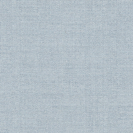 Cortland Chambray by Carole Designer Fabric Gala 100% Polyester India 30,000 WYZENBEEK DOUBLE RUBS None 54.75" - Swanky Fabrics -