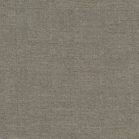 Cortland Granite by Carole Designer Fabric Gala 100% Polyester India 30,000 WYZENBEEK DOUBLE RUBS None 54.75" - Swanky Fabrics -