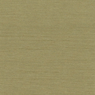 Northwind Sage by Carole Designer Fabric New Northwind Iii 100% Polyester India Passes 9,000 Double Rubs Wyznebeek Horizontal: 0" and Vertical: 0" 54" - Swanky Fabrics -