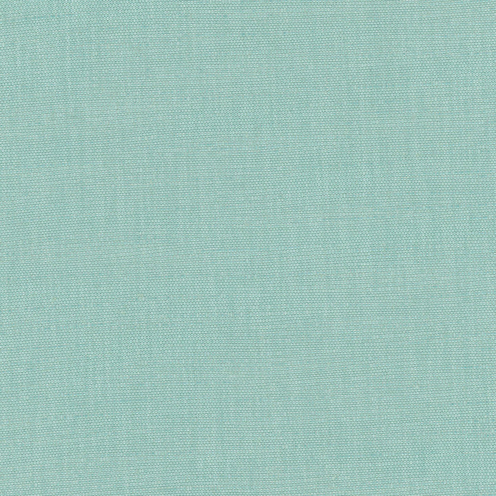 Athlete Spa by Carole Designer Fabric Celadon 60% Cotton, 40% Polyester India Passes 50,000 Double Rubs Wyzenbeek Horizontal: 0 and Vertical: 0 55 - Swanky Fabrics -