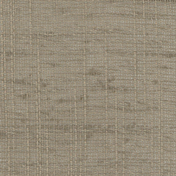 Slow Down Mushroom by Carole Designer Fabric Come Home 100% Polyester India N/A Horizontal: 0 and Vertical: 0 54 - Swanky Fabrics -