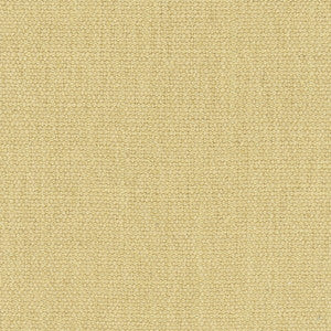 Carole Fabric Resolve Latte