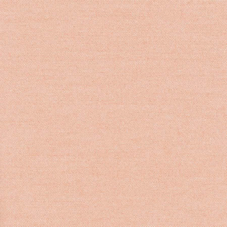 Freshman Coral Pink by Carole Designer Fabric Sunbaked 100% Polyester INDIA None 54" - Swanky Fabrics -