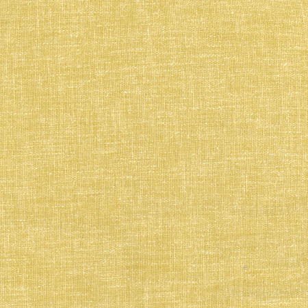 Aspire To Citrus by Carole Designer Fabric Laguna 65% Polyester, 25% Cotton, 10% Linen INDIA None 54" - Swanky Fabrics -
