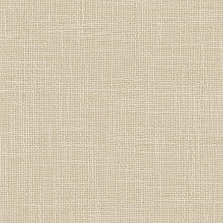 As Always Linen by Carole Designer Fabric See It Through 100% Polyester Turkey None 55.5" - Swanky Fabrics -